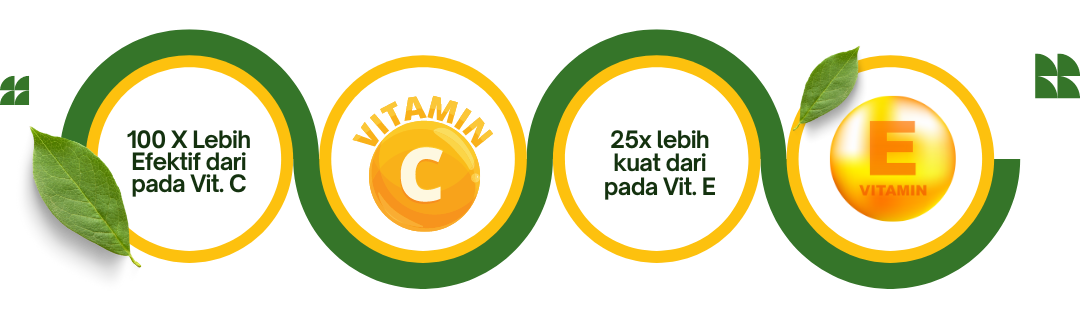 vherin black tea (2)